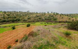 Aldeia Nova De São Bento, Beja 7830