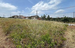 Santarém, Santarém District 2490