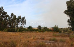Seia, Guarda District