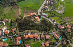 Gemeses, Braga 4740-492