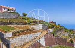 Canhas, Madeira