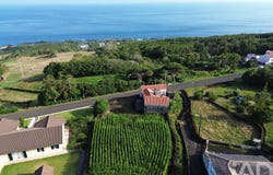 Ilha do Pico, Azores
