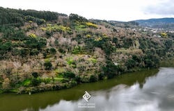 Penha Longa, Porto District