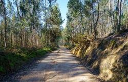 Vau, Leiria 2510