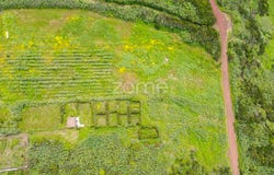 Horta, Azores