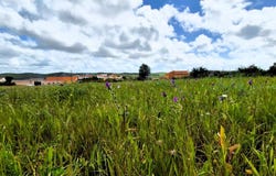 Silves, Algarve 8300