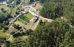Coz, Leiria 2460