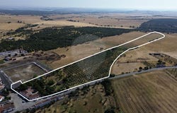 Portalegre, Portalegre District 7350