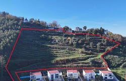 Braga, Braga