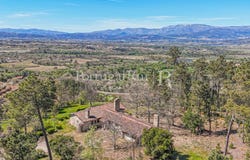 Fatela, Castelo Branco 6230