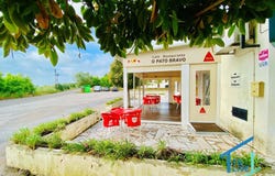 Tomar, Santarém District 2305