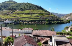 Pinhão, Vila Real 5085
