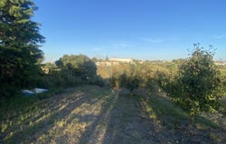 Óbidos, Leiria District
