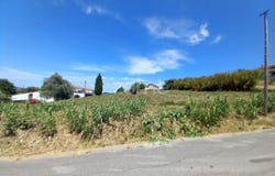 Anadia, Aveiro District