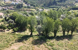 Braga, Porto District 4860-061