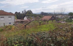 Mono, Viana do Castelo District 4950-850