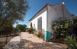 Mértola, Beja 7750