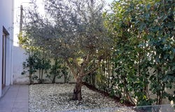 Valongo, Porto District