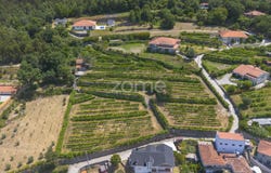 Cinfães, Viseu District