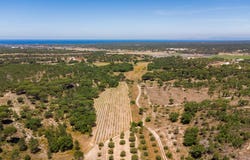 Melides, Setúbal 7570-600