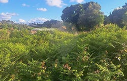 Aguada De Cima, Aveiro District