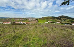 Vale da Bucha, Freiria, Lisbon 2565-302