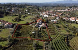 Viseu, Viseu District
