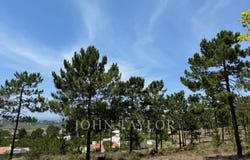 Carvalhal, Setubal 7570-779