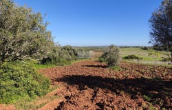 Lagos, Algarve