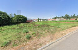 SÃO ROQUE, Aveiro District