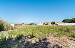 Alcochete, Setúbal 2890