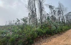 Aguada De Cima, Aveiro District