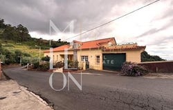 CANHAS, Madeira