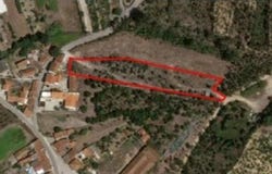 Coz, Leiria District