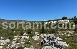 Olhão, Algarve