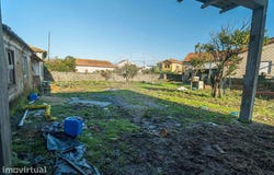 Murtosa, Aveiro District