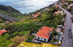 Bell tower, Madeira 9350