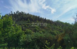 Seia, Guarda District