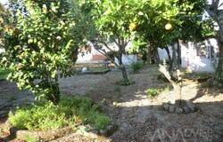 Viseu, Viseu District