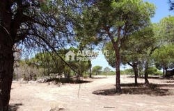 Almancil, Algarve 8135