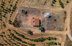Saboia, Beja 7665