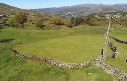 Espindo, Ruivães e Campos, Braga 4850-333