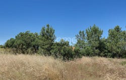 Seixal, Setubal