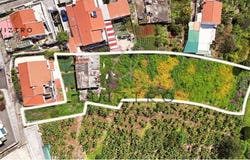 Santo António, Madeira