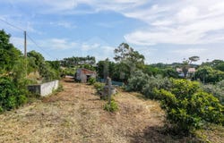 Ericeira, Lisbon 2655