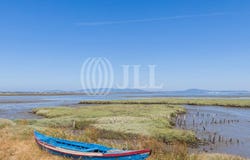 Comporta, Setúbal 7580