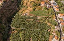 Canhas, Madeira 9360