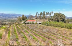 Fatela, Castelo Branco 6230