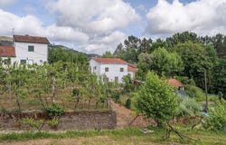 Braga, Braga 4890