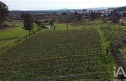 Orjais, Castelo Branco 6200